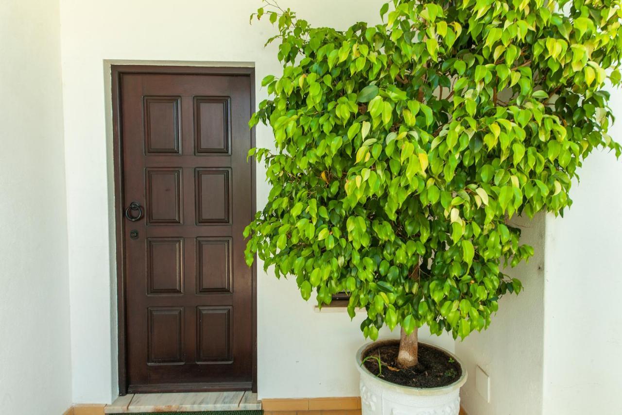 G - Vila Ceu Guesthouse Одіашере Екстер'єр фото